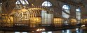 IMG_7863 - Panorama